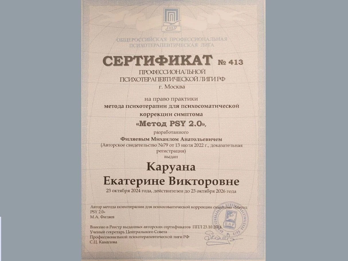 Метод PSY 2.0 · 2024